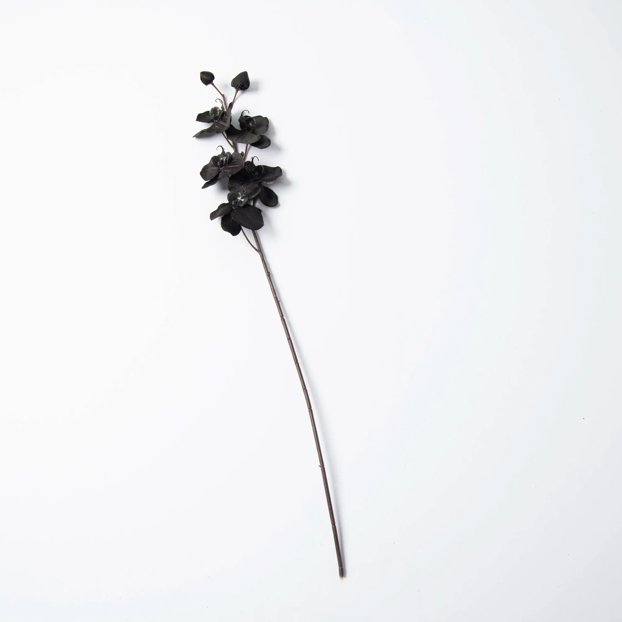 Black Faux Floral Phalaenopsis Orchid Multi-Bloom & Bud Stem - 29"