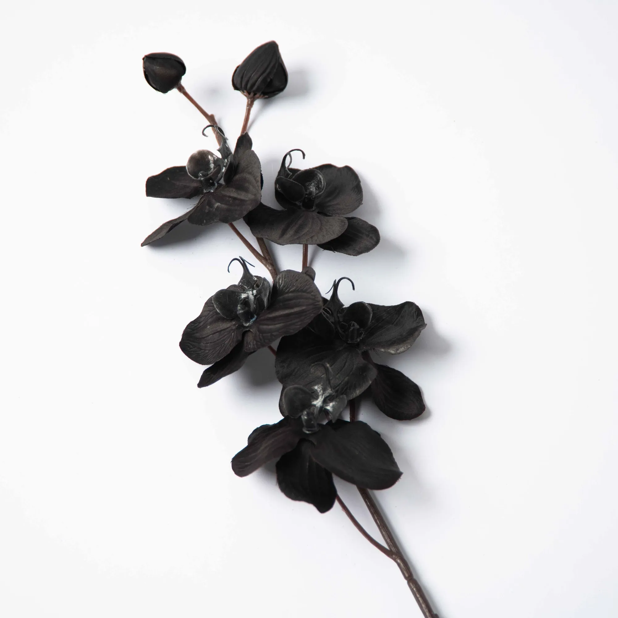 Black Faux Floral Phalaenopsis Orchid Multi-Bloom & Bud Stem - 29"