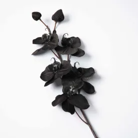 Black Faux Floral Phalaenopsis Orchid Multi-Bloom & Bud Stem - 29"