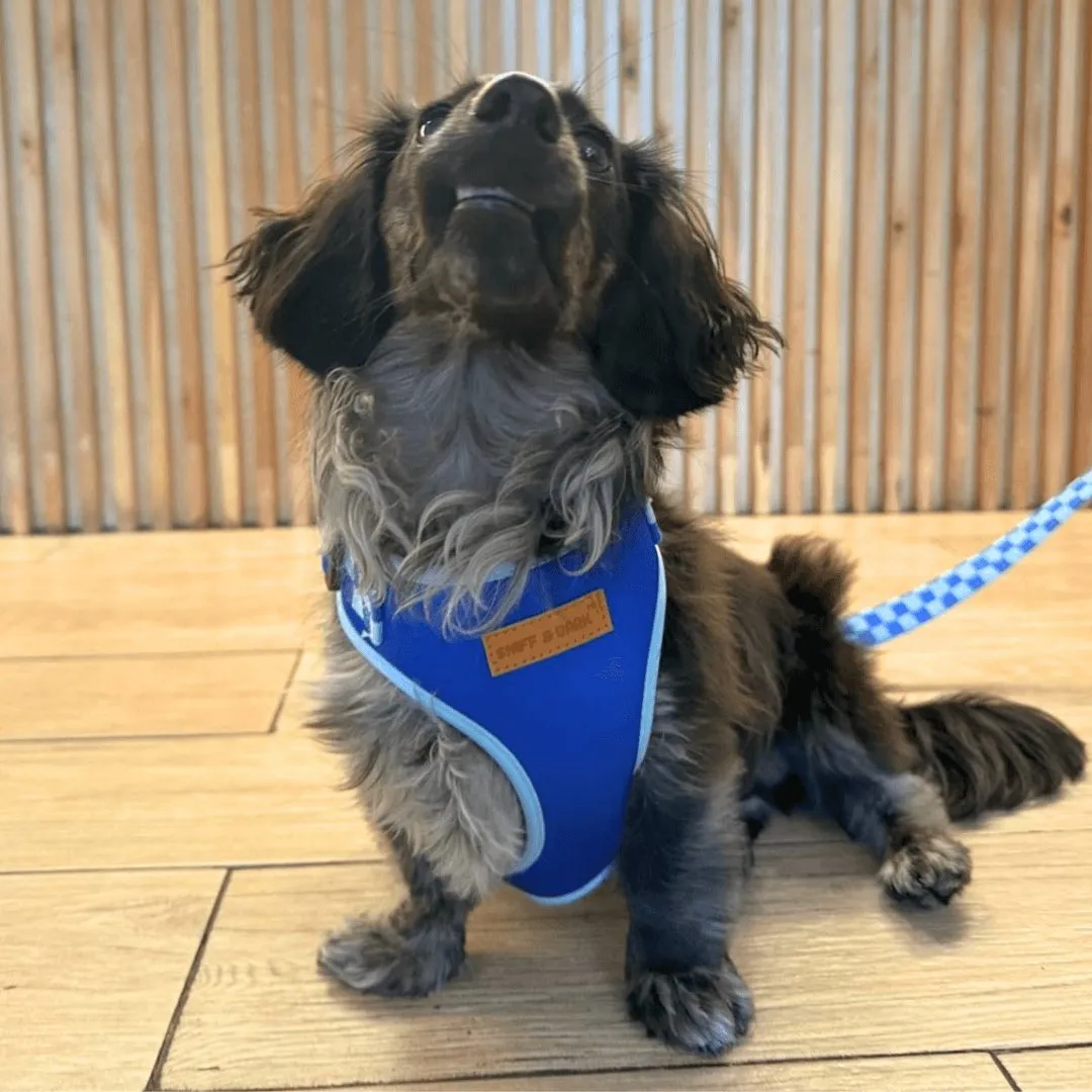 Checker Blue Lockable Harness™   Leash Set